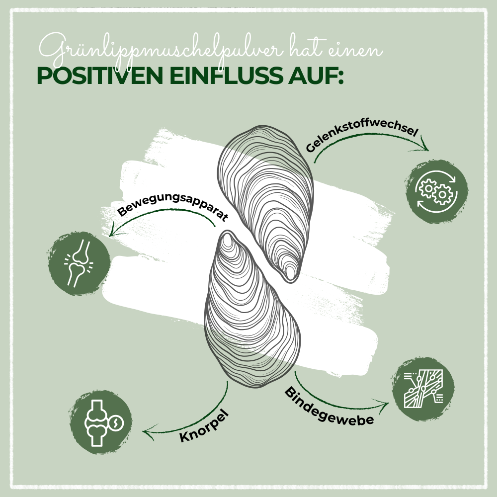 Kauartikel.com GmbH – wholesale Kosttillskott för husdjur - Katt och hund – LaPura pulver av gröna musslor 250 g2