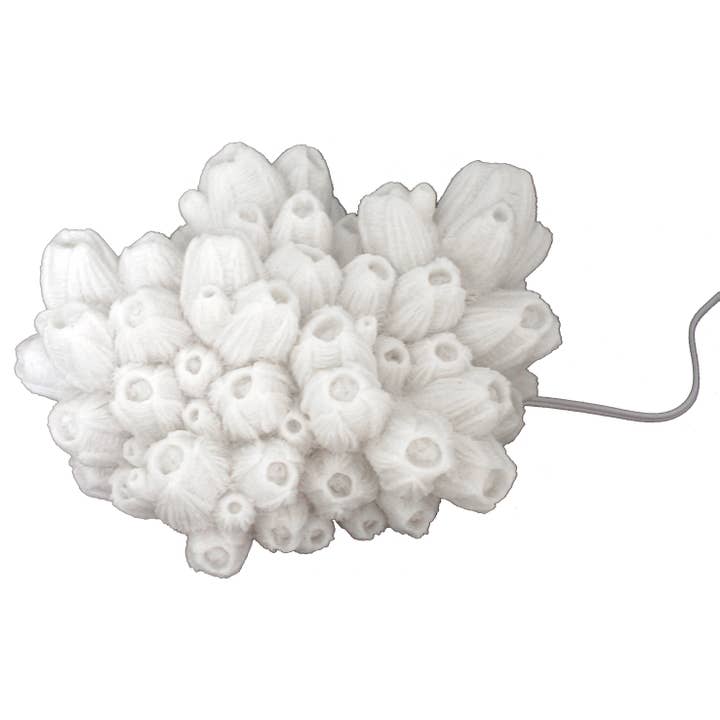 Modern Coastal by Contrast Inc. - Vendita all'ingrosso Lampada da scrivania/d'accento - Arenaria Barnacle Lampada Interno1