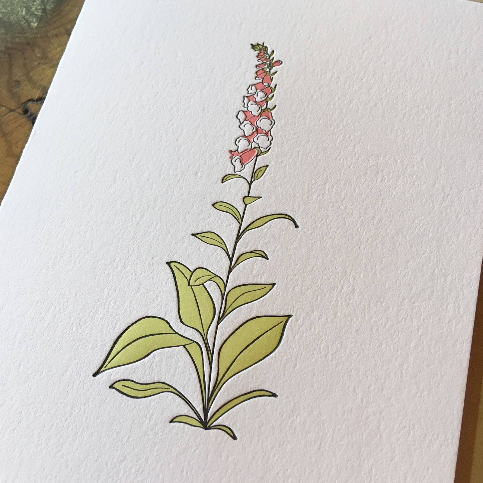 Green Bird Press - Wholesale Everyday Greeting Card - Foxglove Wildflower Letterpress Card1
