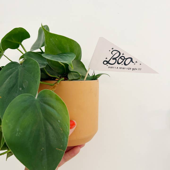 BOO !!! for wholesale by Handpicked Goods