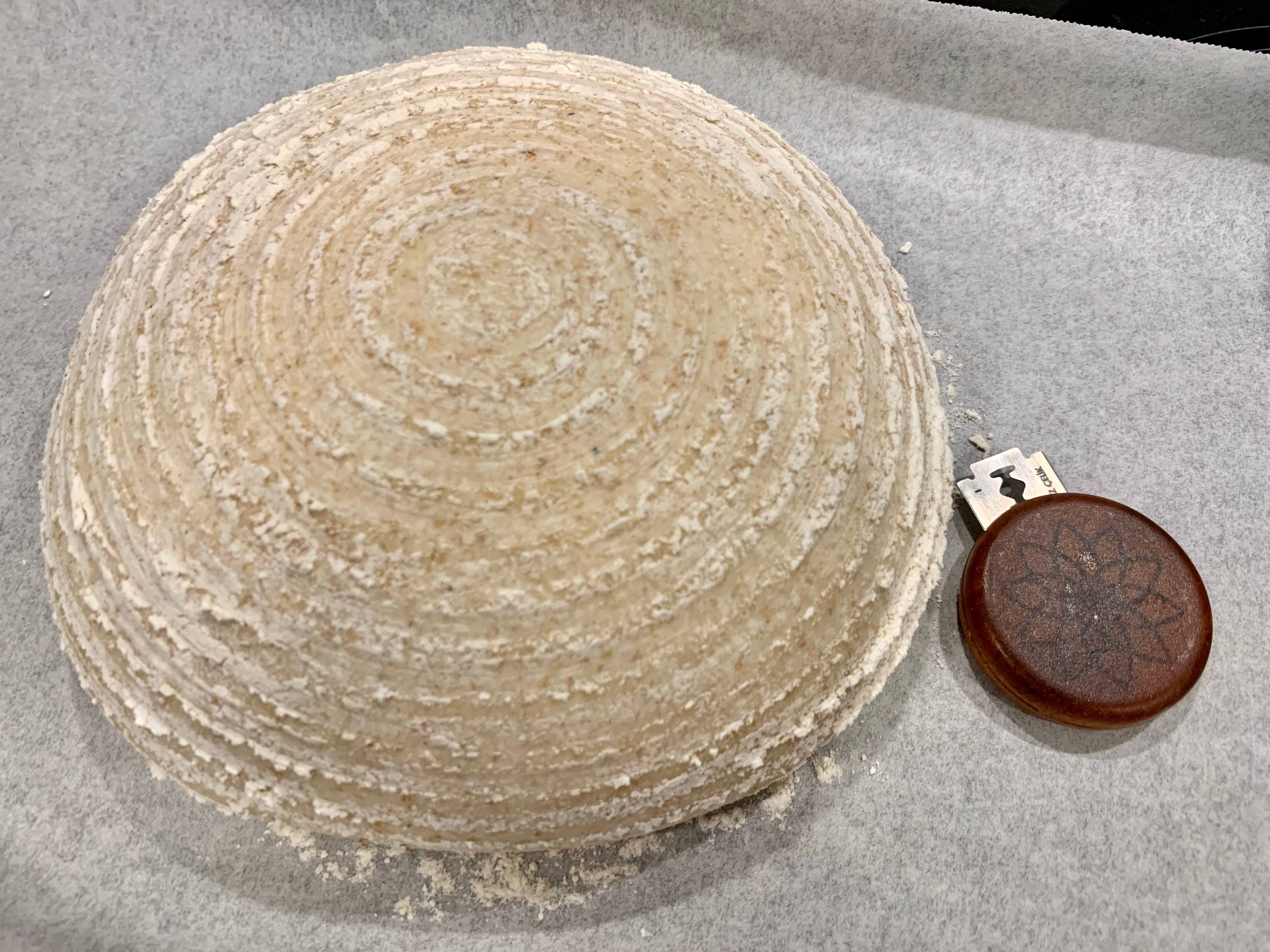 Coucou Bamboo - Wholesale Cupcake/Muffin Liner - Round Banneton Bread Proofing Basket With Liner2