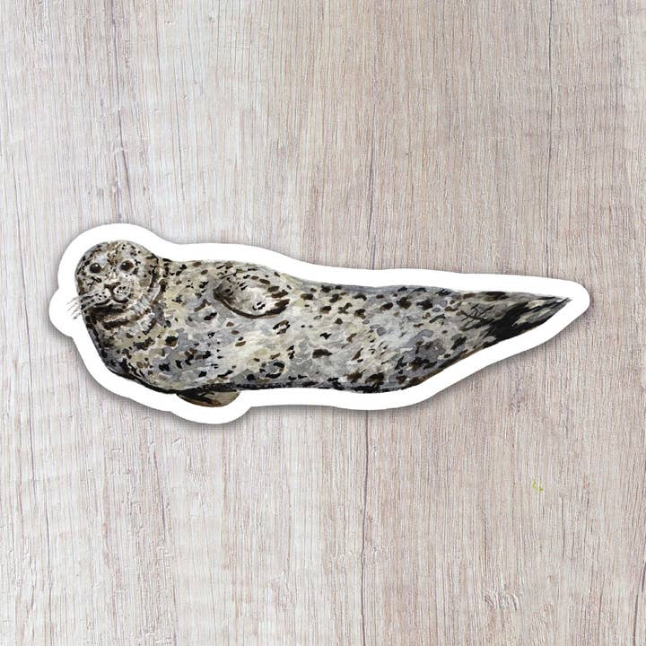 Harbor Seal Sticker for wholesale by Brush & Bark