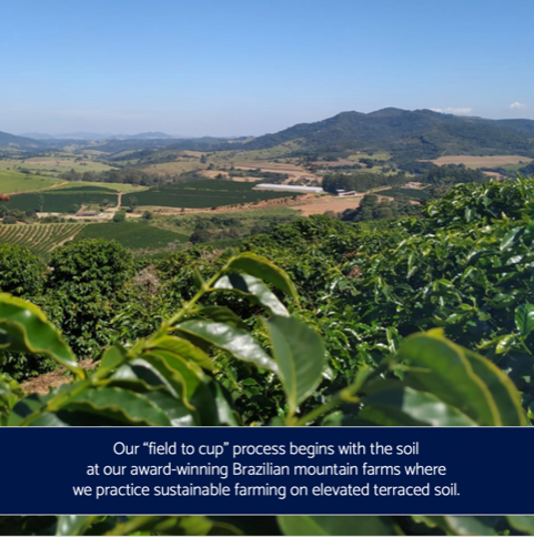 Nobletree Coffee - Wholesale Coffee Beans - Dois Americanos Breakfast Blend Medium Roast Coffee 12 oz3