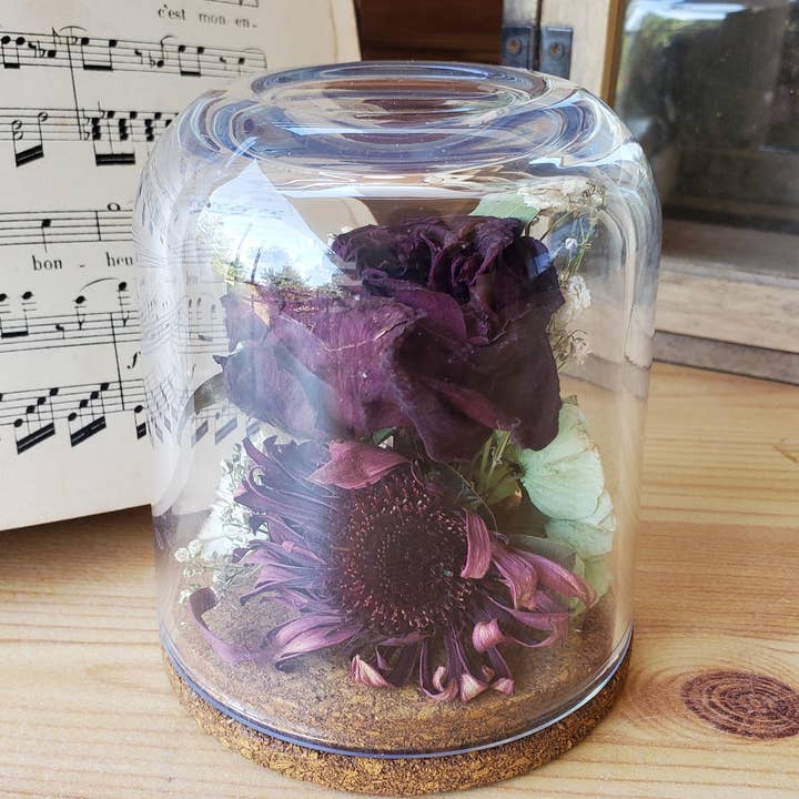 A'Rt VEGETAL CREATION - Wholesale Dried/Pressed Flowers - Dried flowers under a bell5