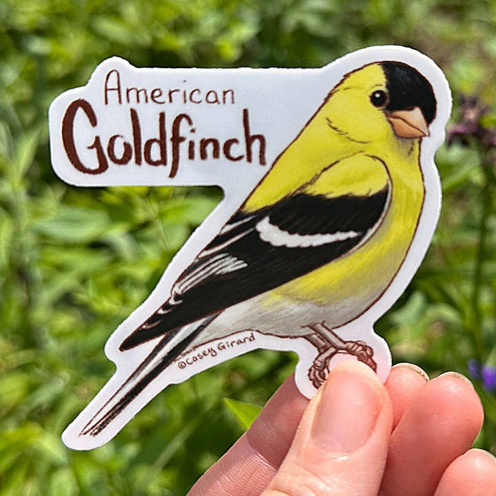 American Goldfinch - Vinyl Sticker - 2025 for wholesale by River Thrush Studio