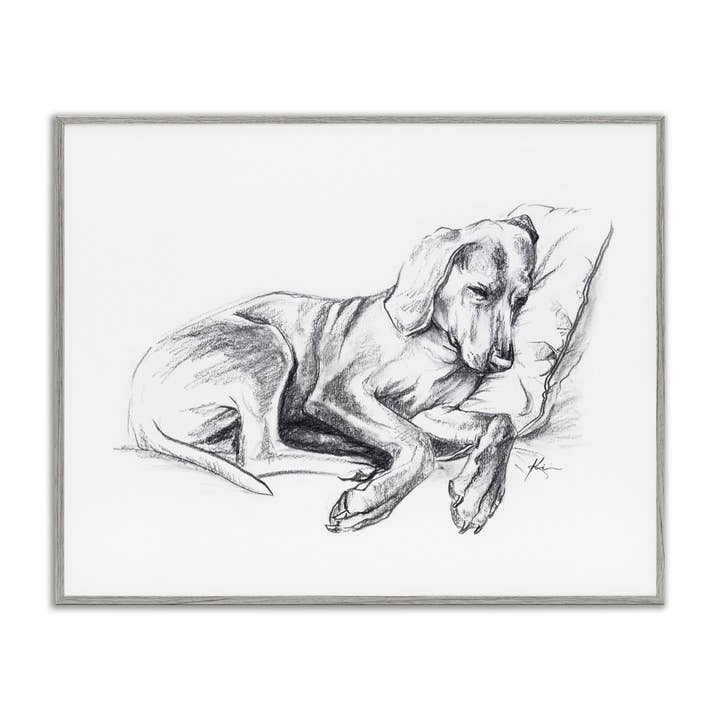 Stupell Industries - Wholesale Wall Decor - Kids & Baby - Napping Dog Drawing Framed Art15