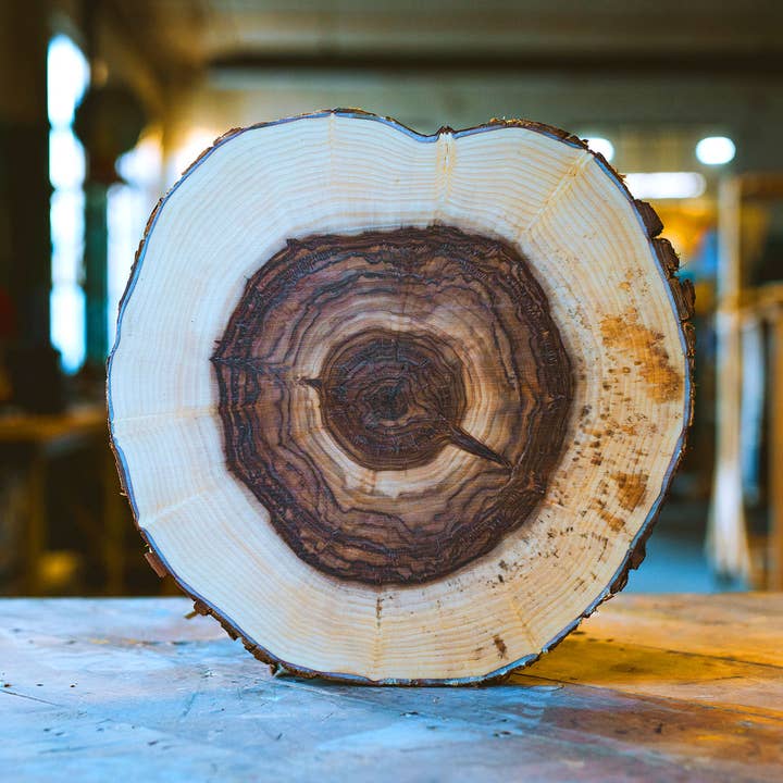 HVRNT Studio - Wholesale Art Print - "Silver Willow 41" Tree Print - Black Paper1