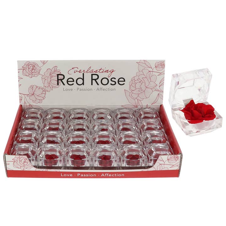 Konservierte Rosen in CDU-Rot für den Großhandel von Joe Davies