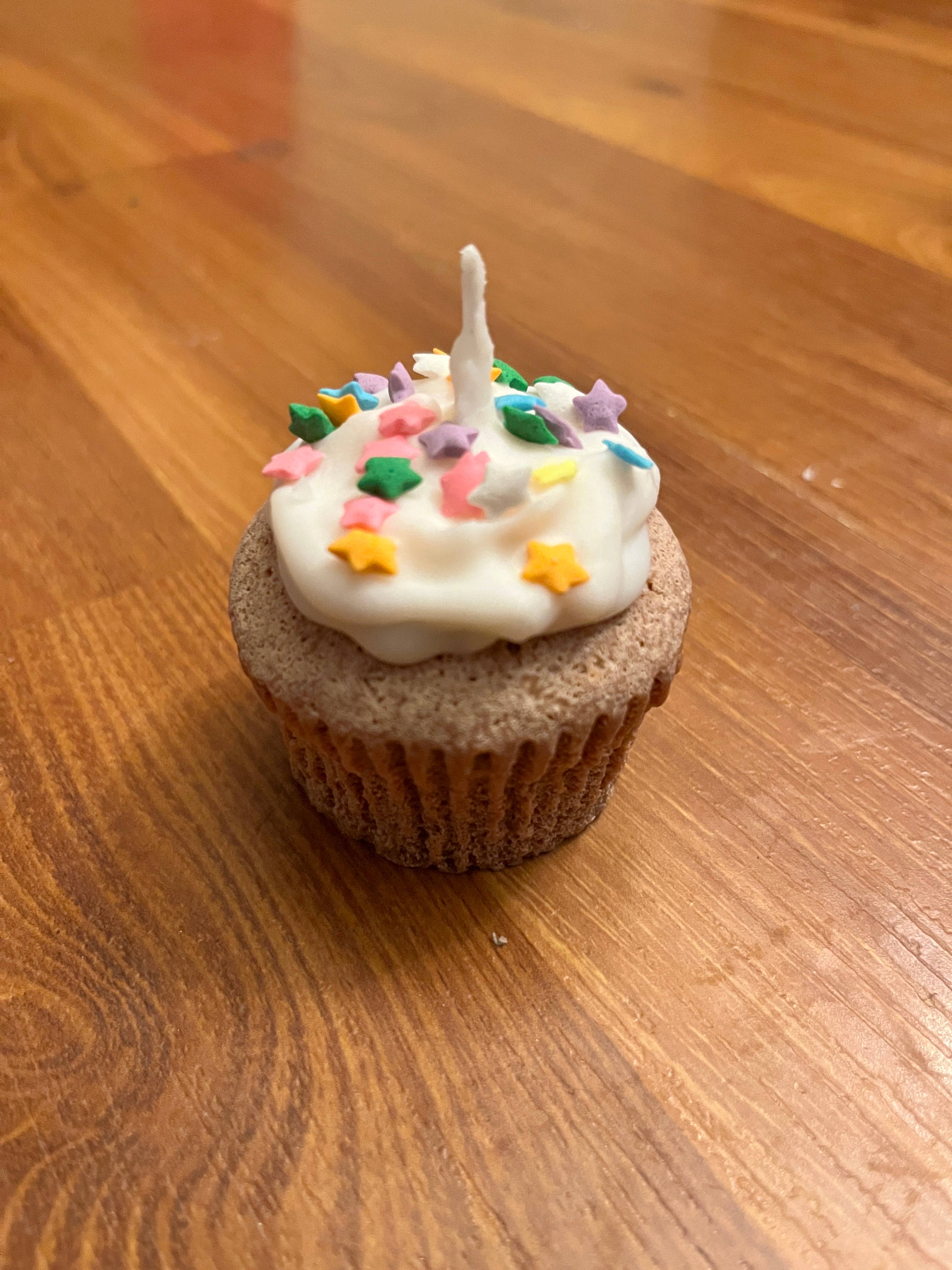 I Thought That Was Cake - Wholesale Novelty Candle - Cupcake Candle2