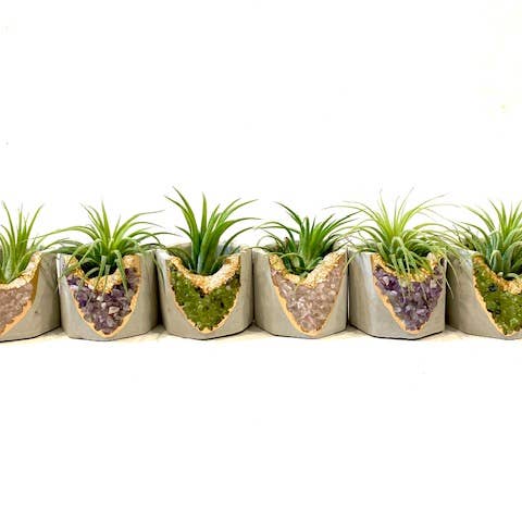Plant One On Me Designs - Wholesale Plant Pot - Crystal Geode Planter with Air Planter- Mixed Crystal Set3