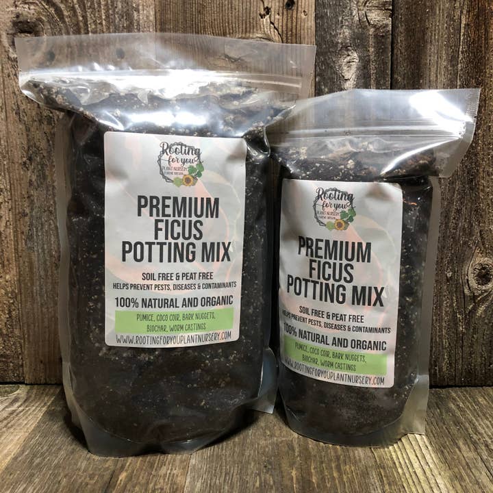 Ficus Premium Potting Mix for wholesale by Rooting For You Plant Nursery