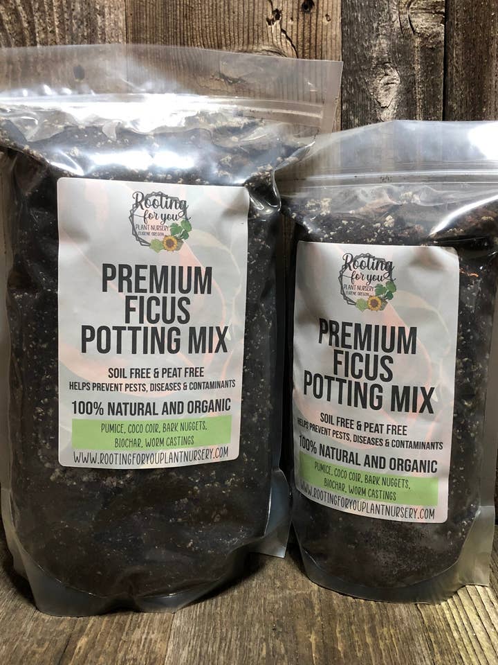 Ficus Premium Potting Mix for wholesale by Rooting For You Plant Nursery