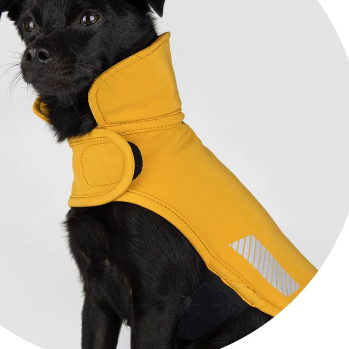 All Weather Dog Jacket | Waterproof Dog Rain Coat | Fleece for wholesale by Wildebeest