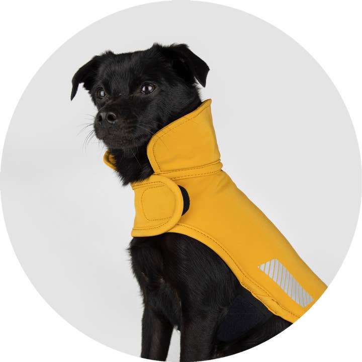 All Weather Dog Jacket | Waterproof Dog Rain Coat | Fleece for wholesale by Wildebeest