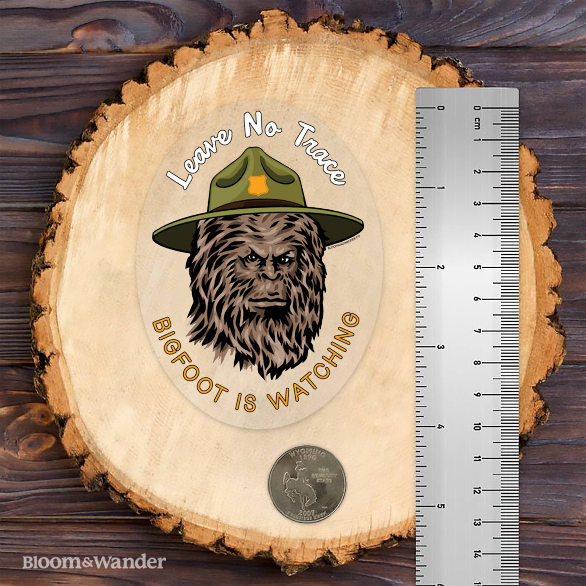 Bloom & Wander - Wholesale Sticker - Bigfoot is Watching Sticker | Leave No Trace Outdoor Camping2