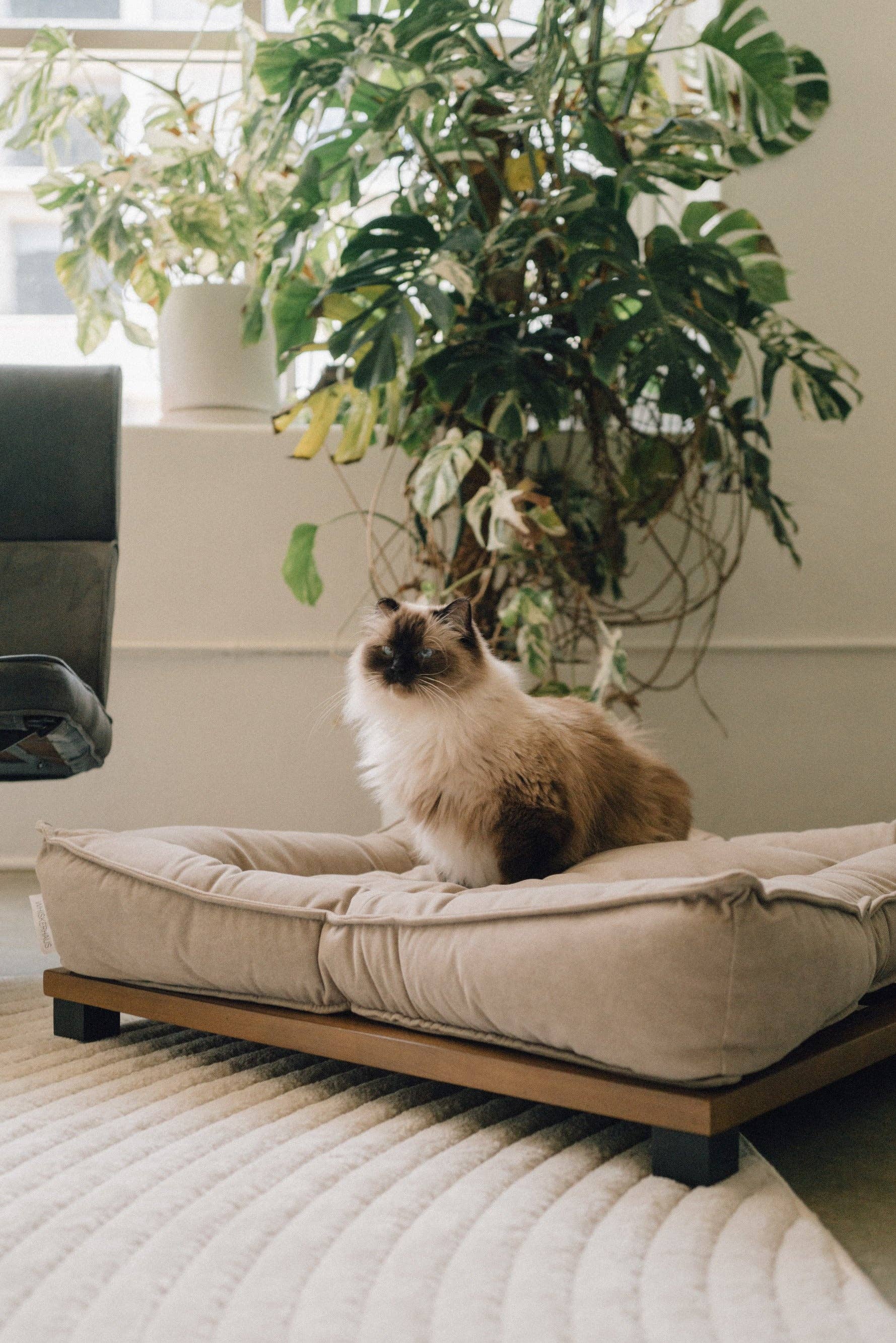 WHISKERHAUS LLC – Engroshandel Seng - Kat/hund – WHISKERHAUS Premium Moderne Luksus Katte- og Hundeseng - HARLOW0