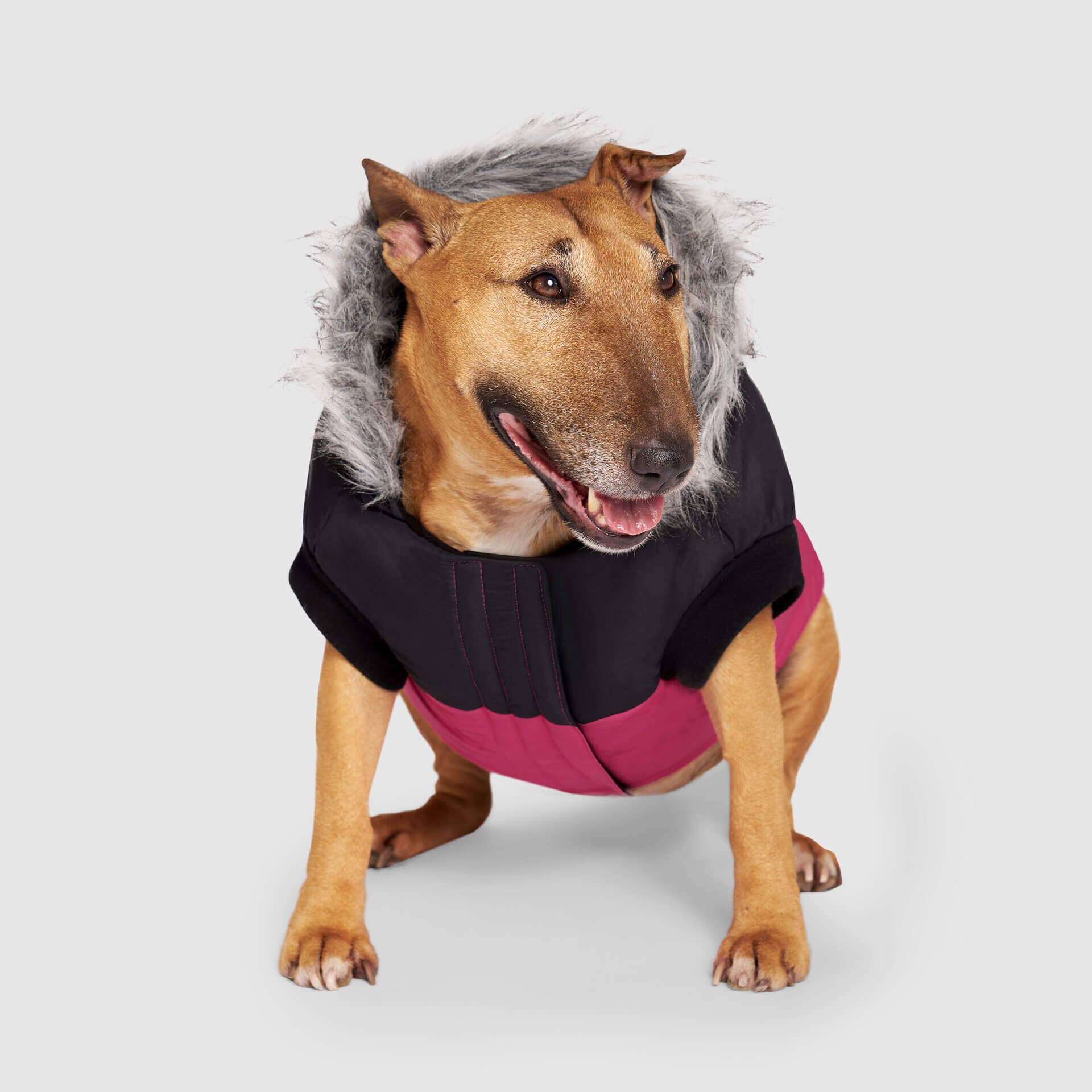 Canada Pooch - Vendita all'ingrosso Cappotto - Cani - Parka invernale True North per cani11
