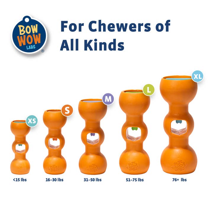 Bow Wow Labs - Vente Jouet à mâcher – chien - Kit de démarrage Bow Wow Buddy™ Porte-bâton de bully8