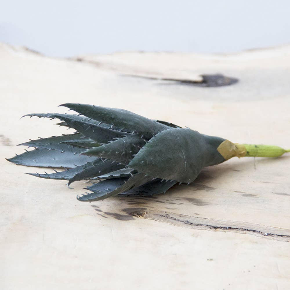 Chive UK - Wholesale Artificial Plant - Succulent Artificial Bulk Faux Succulents Kit SALE1