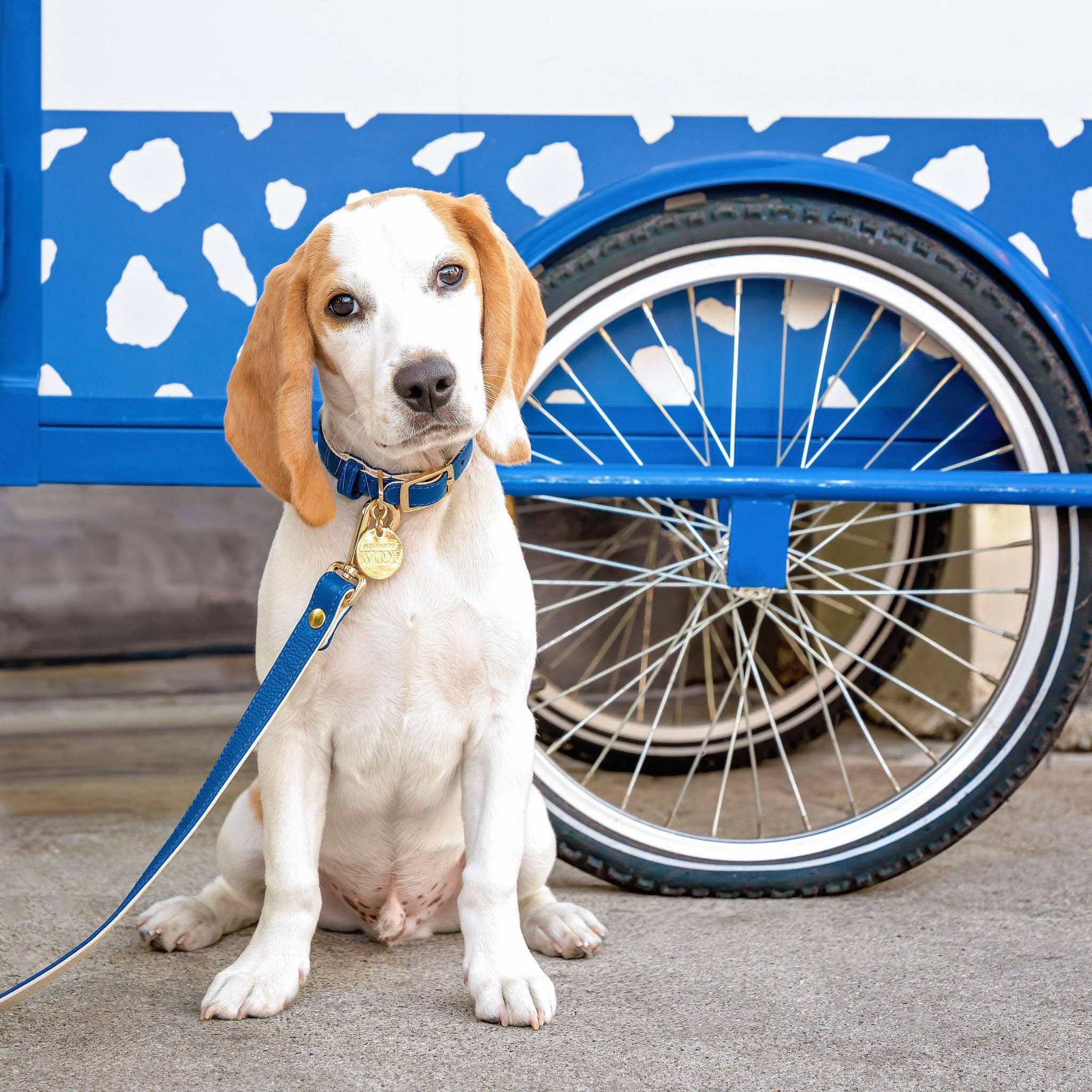 Neighborwoof - Wholesale Pet Collar - Dog - Cobalt Dog Collar1