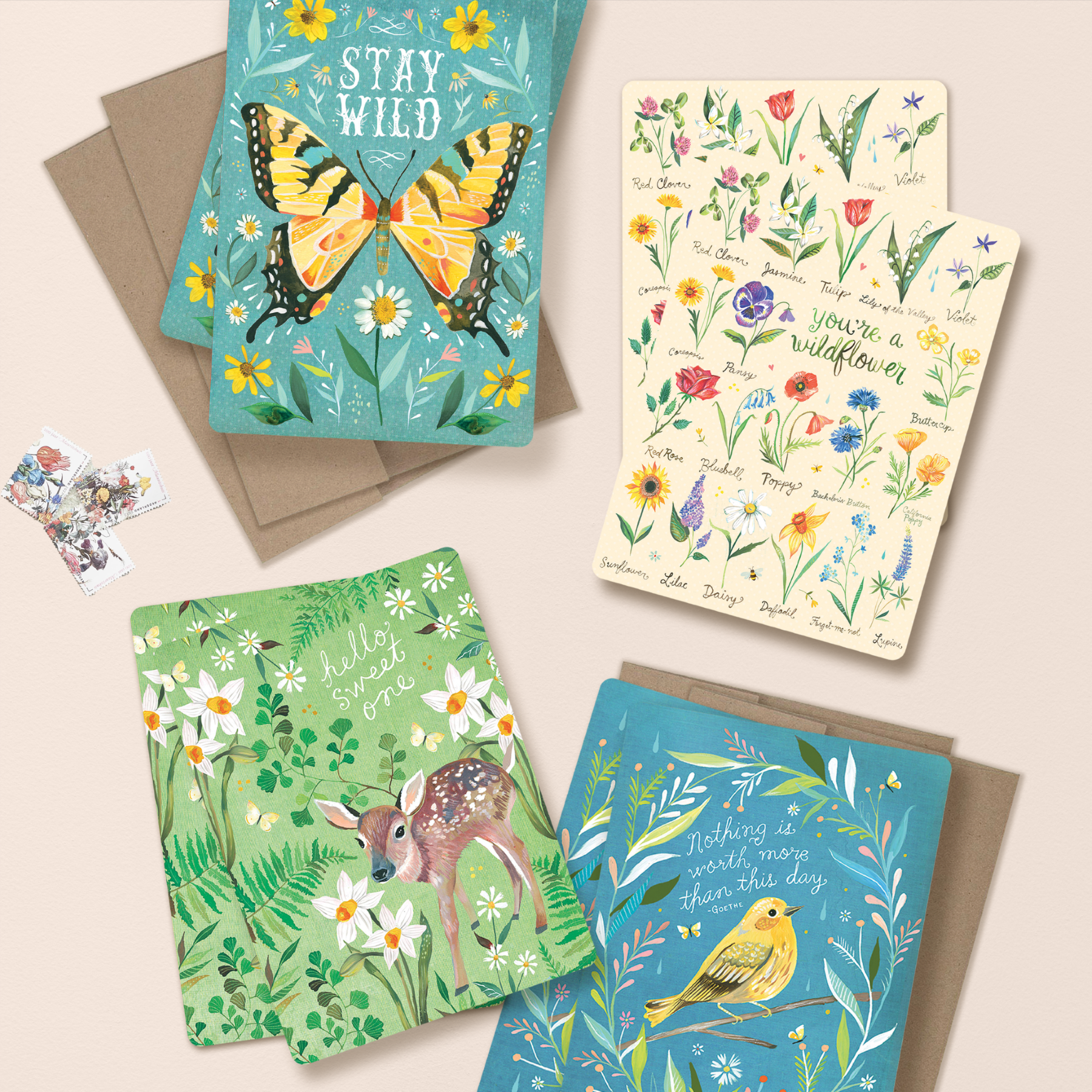 Biely & Shoaf – Großhandel Verkaufsdisplay – Schreiben & Schenken – Katie Daisy Grußkarten-Display mit 48 Fächern8