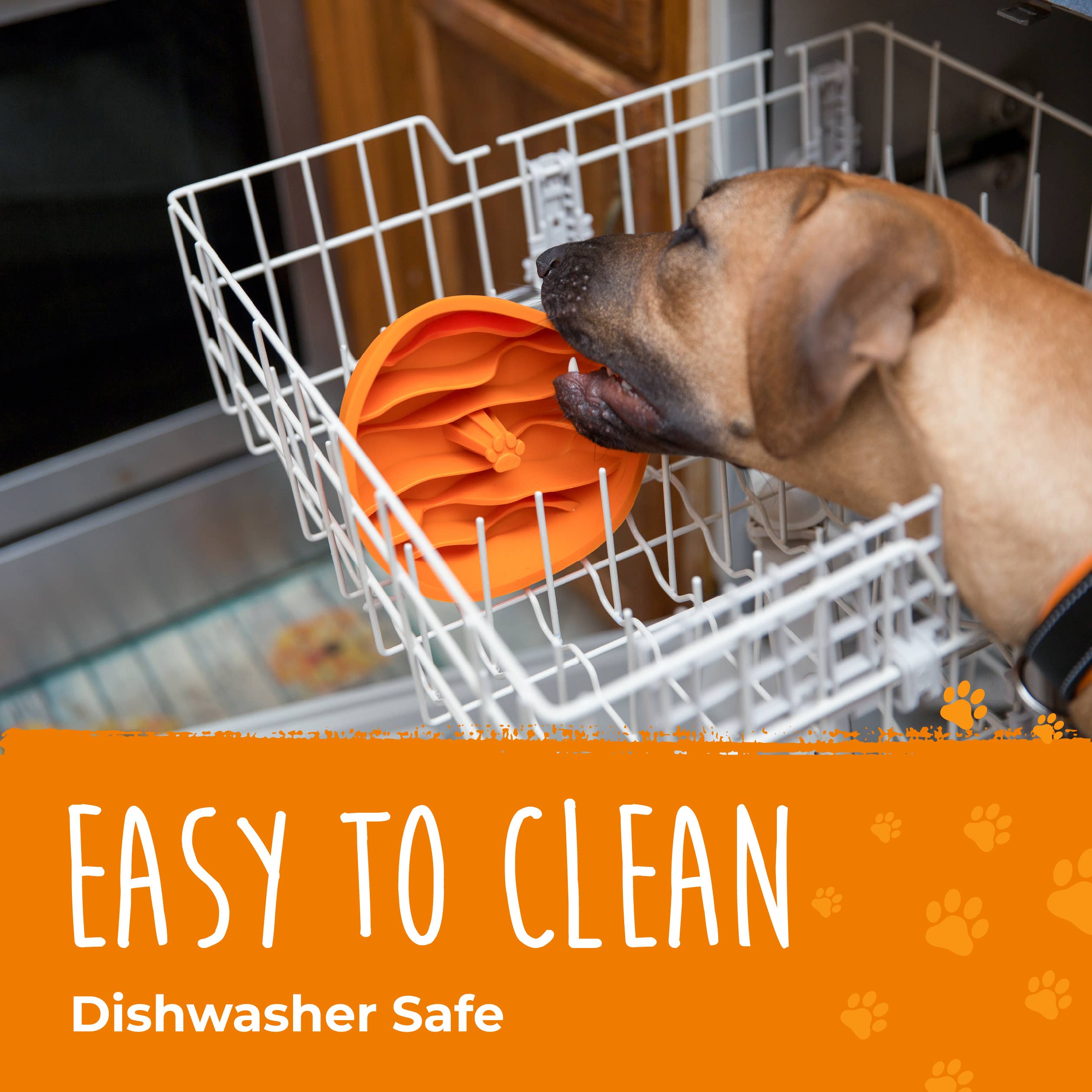 Mighty Paw - Vente Gamelle – chat et chien - Insert pour gamelle anti-glouton pour chien17