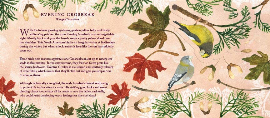 Abrams - Wholesale Display Book - Birds in a Book (UpLifting Editions)3