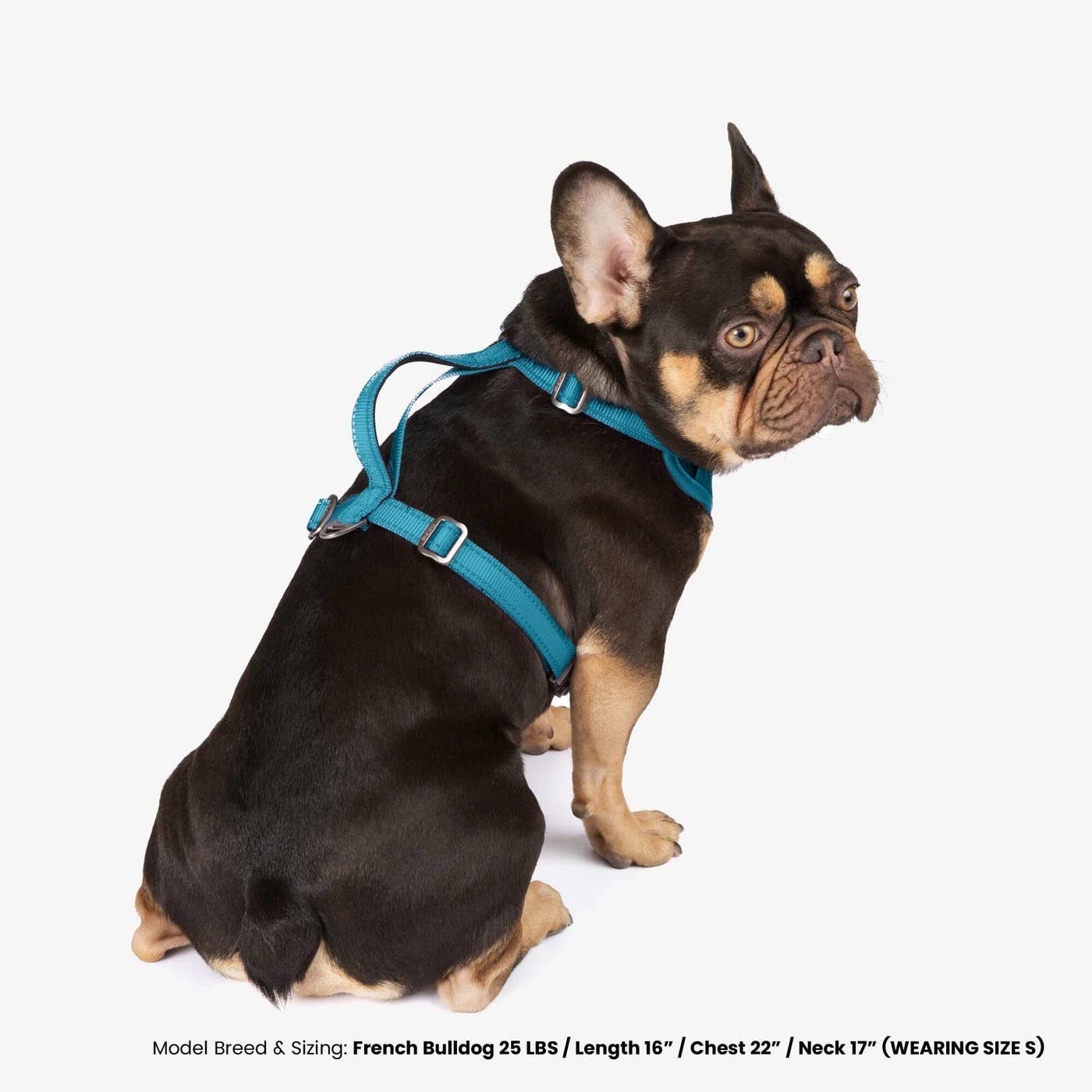 Wholesale NANDOG Neoprene Sport Dog Harness -BLUE for your