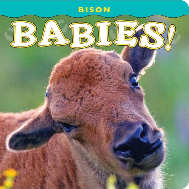 Bison Babies for wholesale by Farcountry Press