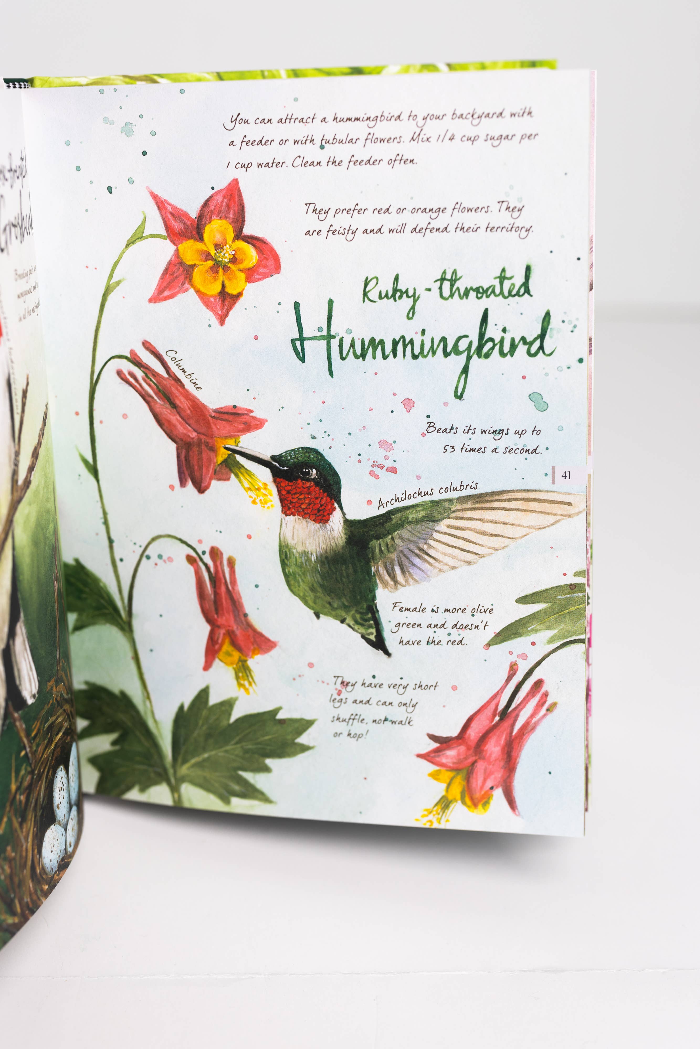 AdventureKEEN - Vente Nature et plein air - Drawn to Birds : Carnet de croquis d'un naturaliste5