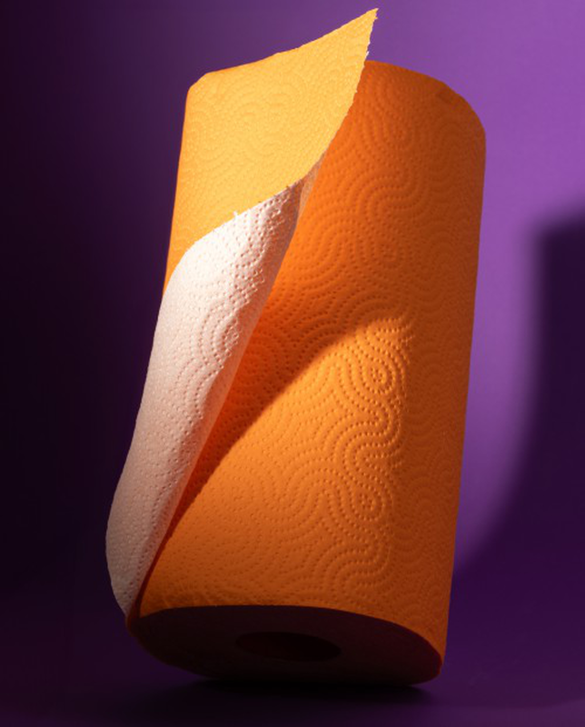 Renova - Wholesale Paper Towels - Paper Towel Renova Red Label 1Roll Orange2