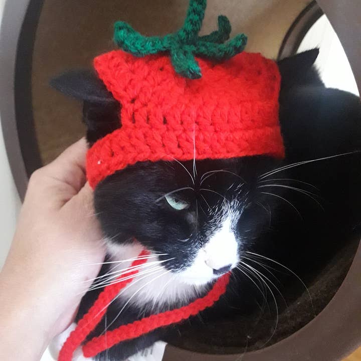 Crochet Tomato Cat Hat, Cute Cat Owner Gift, Cat Lover Gift for wholesale by Anh2 LTD