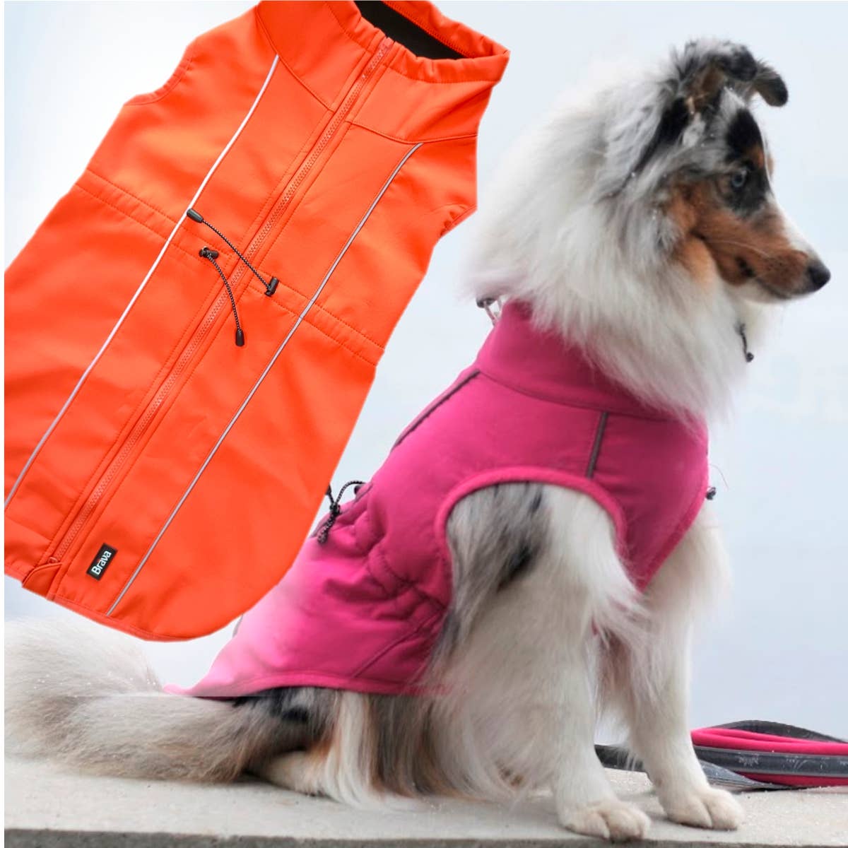 top paw dog clothes wholesale