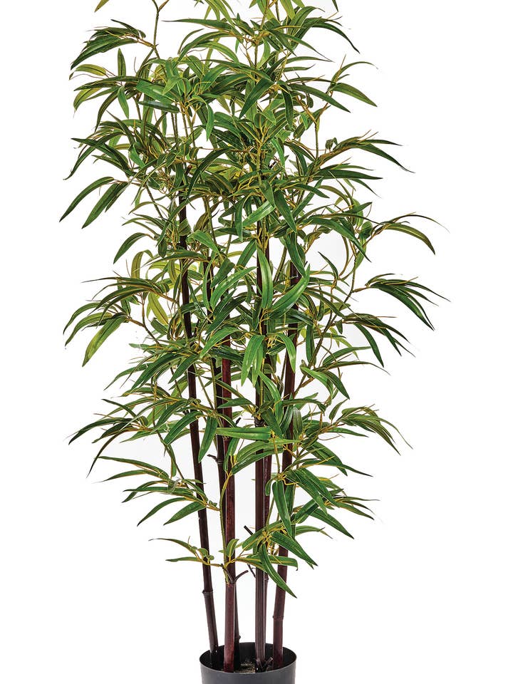 Arbre en bambou de 50 po avec tronc noir pour la vente par WORTH IMPORTS