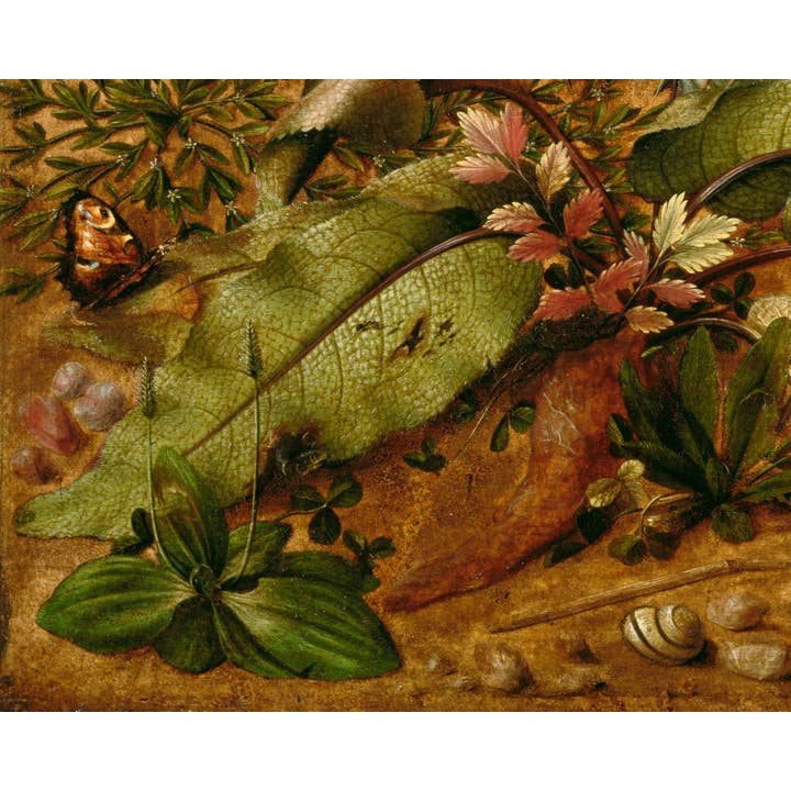 Rock Paper Scissors Wall Art - Wholesale Art Print - Woodland animal art | A Hare in the Forest | Enchanted forest | Vintage nature wall art | Rabbit, flowers, butterfly, bird, snail, lizard