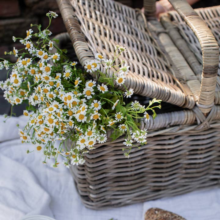 Basketly - Wholesale Picnic basket - Rattan Picnic Basket2