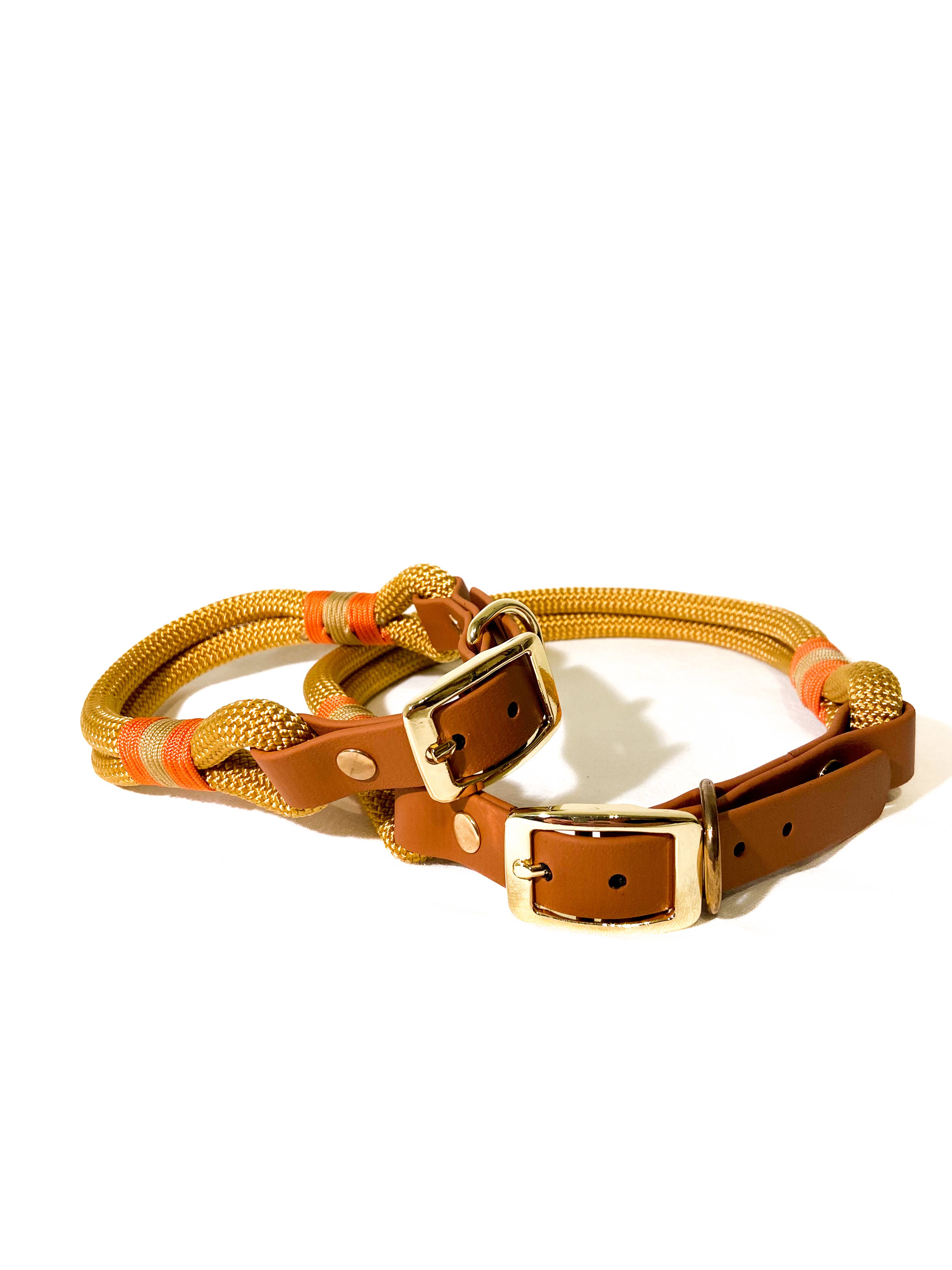 Todas as cores Coleiras e guias para cães em Biothane e paracord para venda a revendedores na Faire5