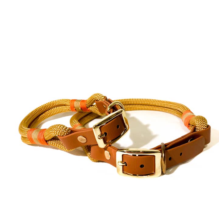 All colors Biothane and paracord dog collars and leashes for wholesale on Faire5