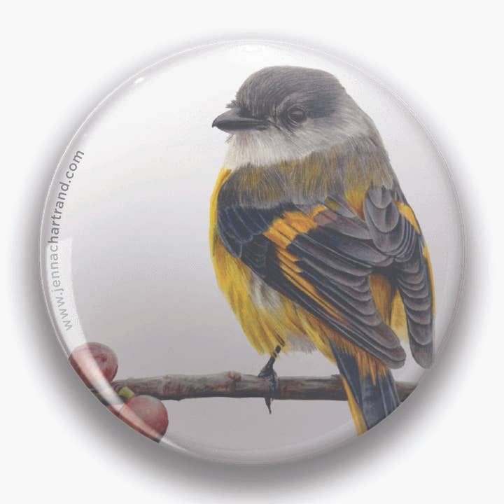 "Looking Back" Eastern Yellow Robin 44mm Round Magnet for wholesale by Jenna Chartrand Coloured Pencil Fine Artist