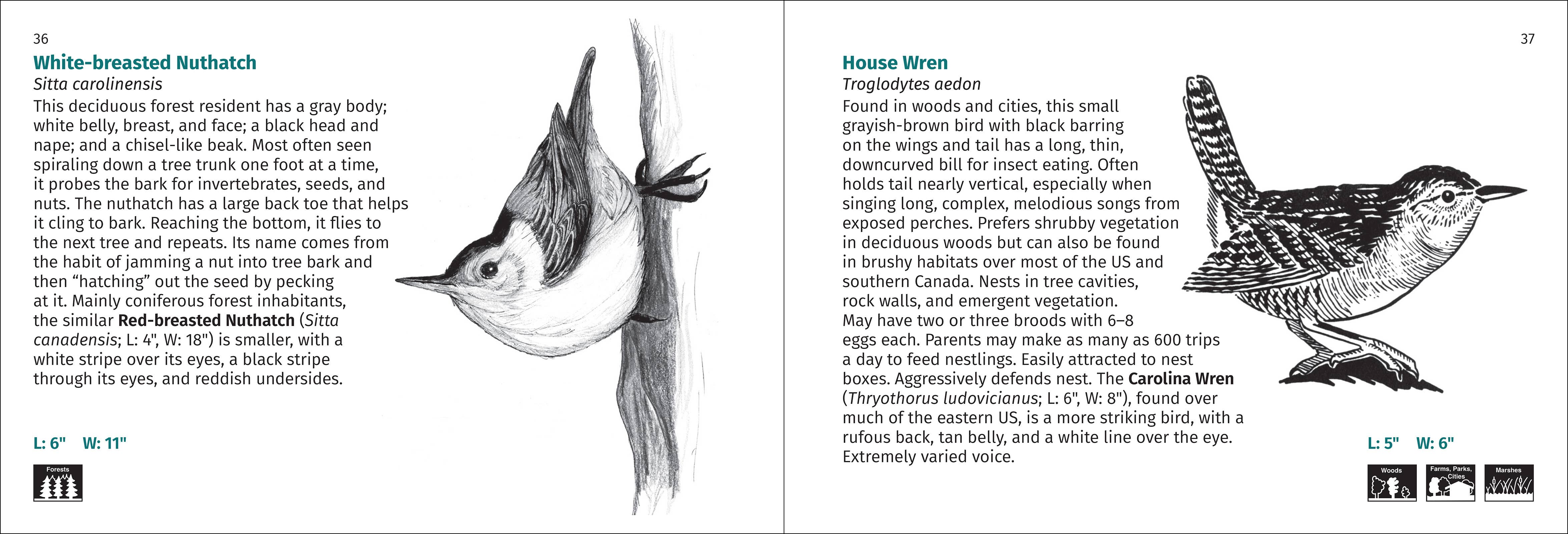 AdventureKEEN - Wholesale Nature & Outdoors - Bird Finder 2e4