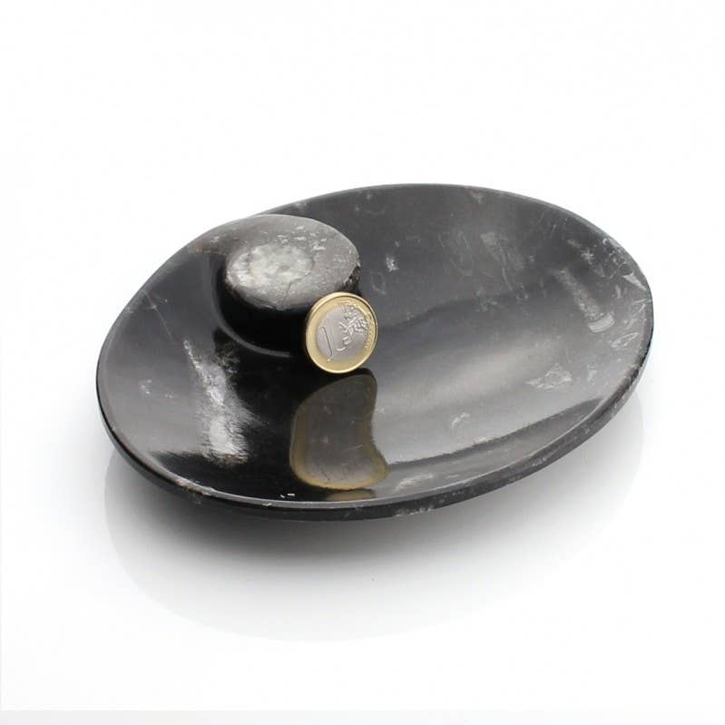 UniArt - Vente Objets de décoration - Assiettes décoratives avec ammonites et orthoceras authentiques7