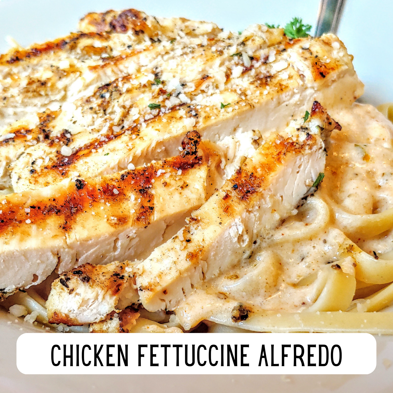 Alaska Seasoning Company - Vendita all'ingrosso Mix di spezie secche - Salsa Alfredo in polvere2