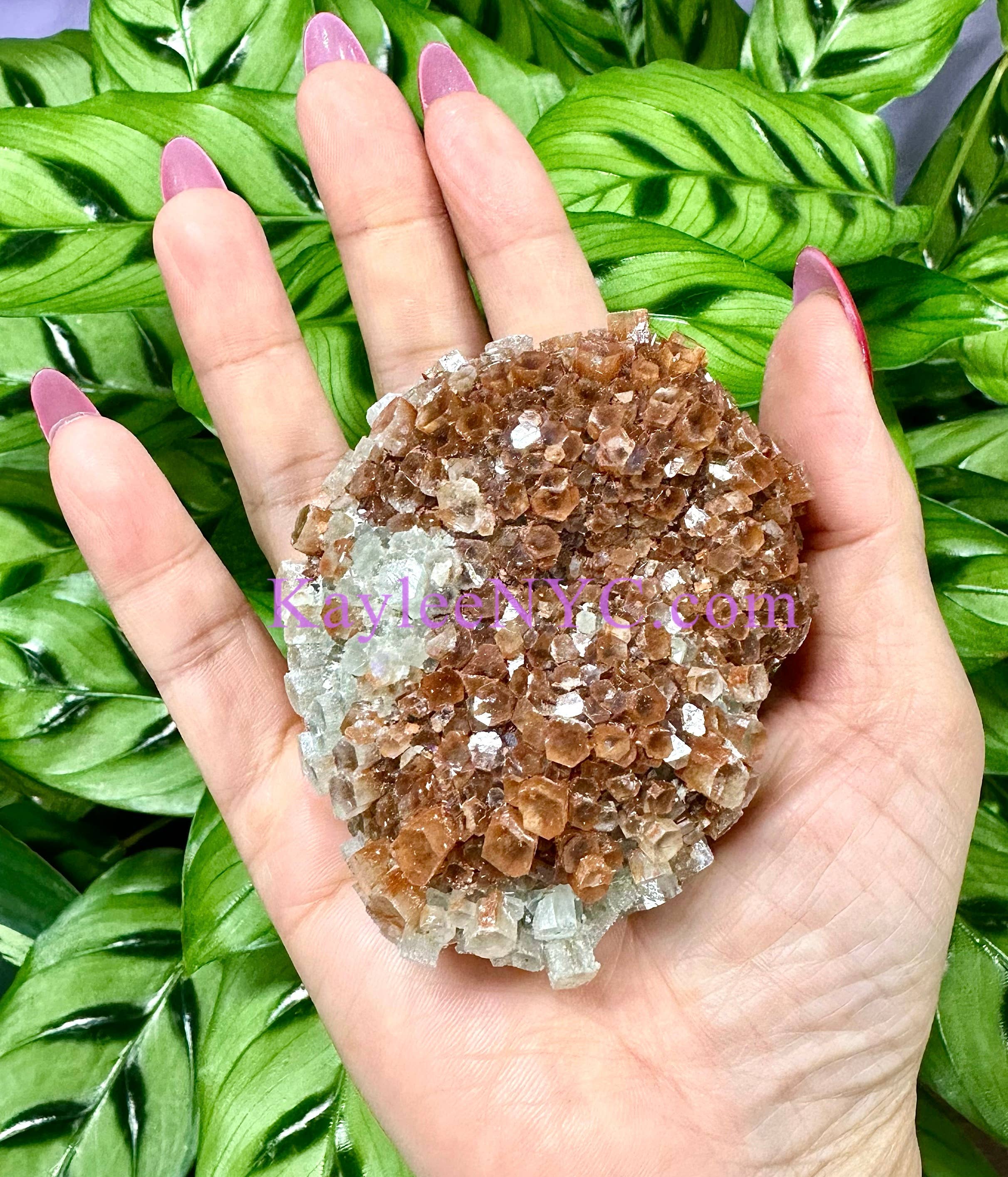 KayleeNYC - Wholesale Spiritual Stone/Crystal - 2 lbs Natural Aragonite Cluster Raw Crystal4