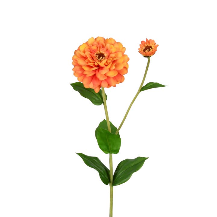 Zinnia Flower And Bloom - 26 Inch - Orange for wholesale by Mills Floral Company