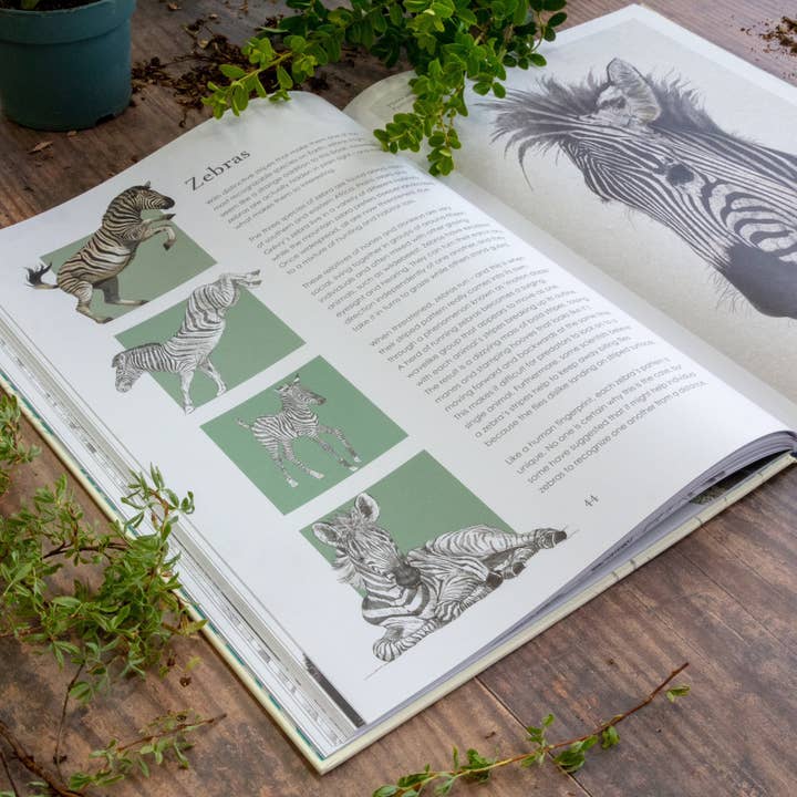 Hidden Planet - Wholesale Nature & Outdoors - Hidden Planet - An illustrator's love letter to planet Earth1