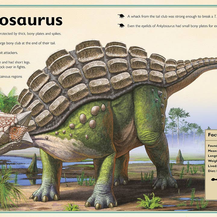 Insight Editions - #1 Pop Culture Publisher - Wholesale Reference Book - The Magnificent Book of Dinosaurs6