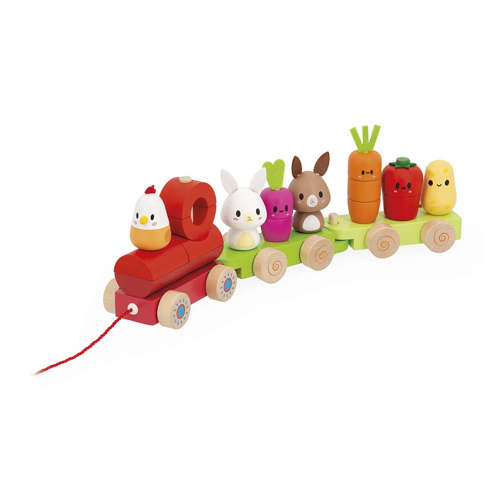 Janod - Wholesale Wood Toy - Kids - Farm | Pull-Along Stacker Train | 19 pieces4