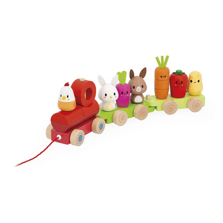 Janod - Wholesale Wood Toy - Kids - Farm | Pull-Along Stacker Train | 19 pieces4