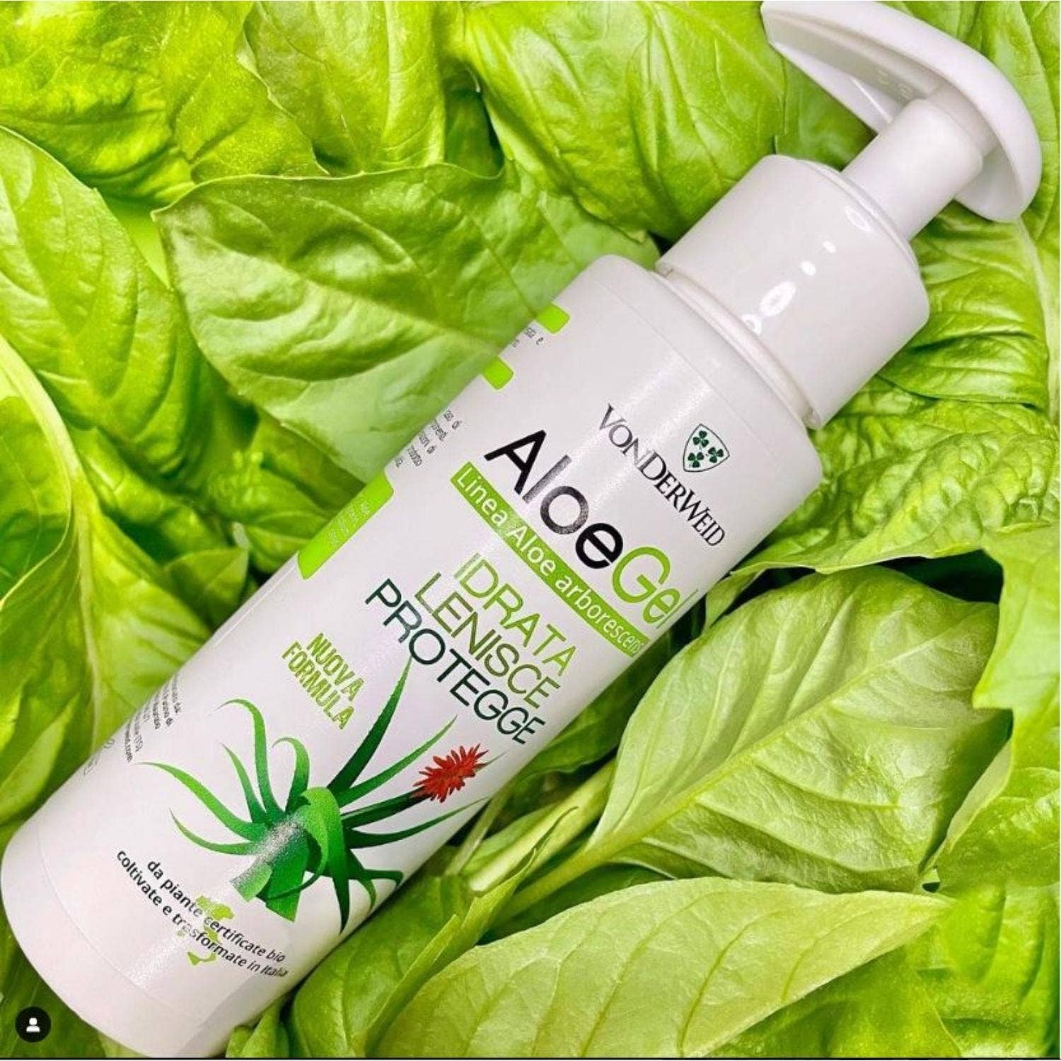 Vonderweid – wholesale Vårdande kräm för solskador – AloeGel – Lugnande gel med Aloe Vera och Arborescens | 250 ml1