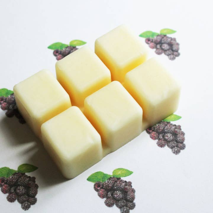 Black Raspberry Vanilla Scented Melts - Natural Vegan Soy Wax - Soy Wax Melts - Soy Tarts for wholesale by Radical Works